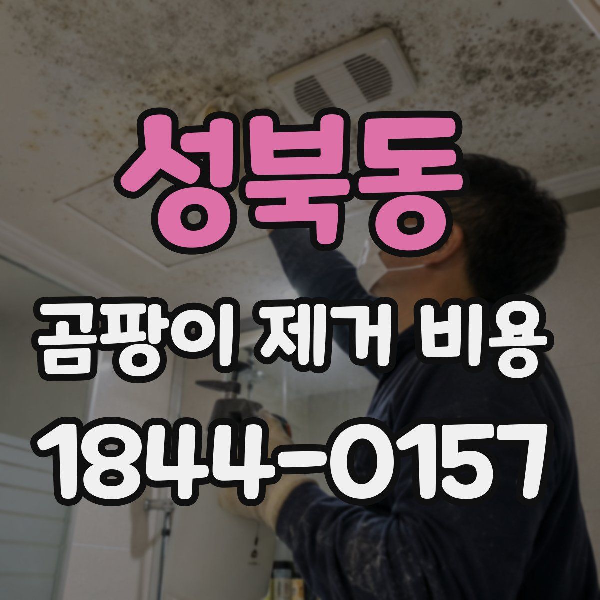 성북동 곰팡이 제거 비용