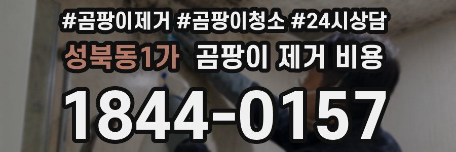 성북동1가 곰팡이 제거 비용