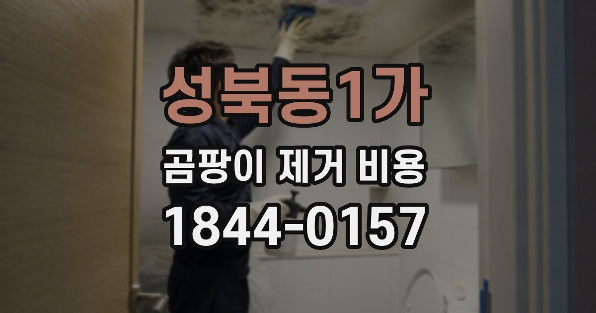 성북동1가 곰팡이 제거 비용