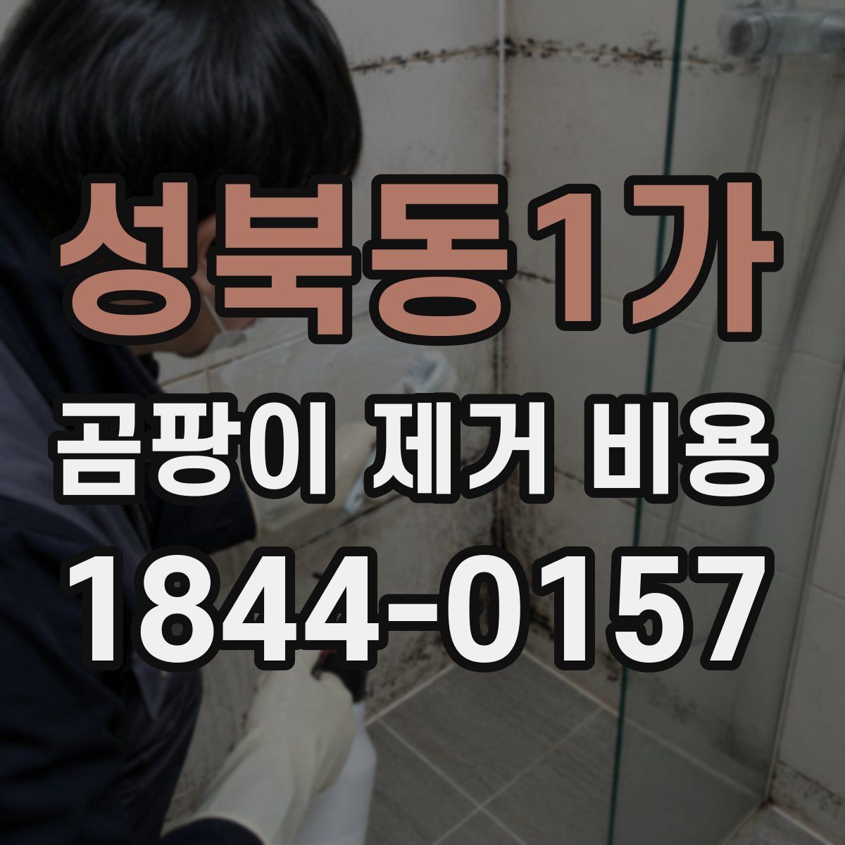 성북동1가 곰팡이 제거 비용