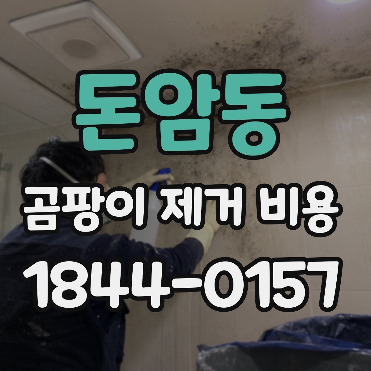 돈암동 곰팡이 제거 비용