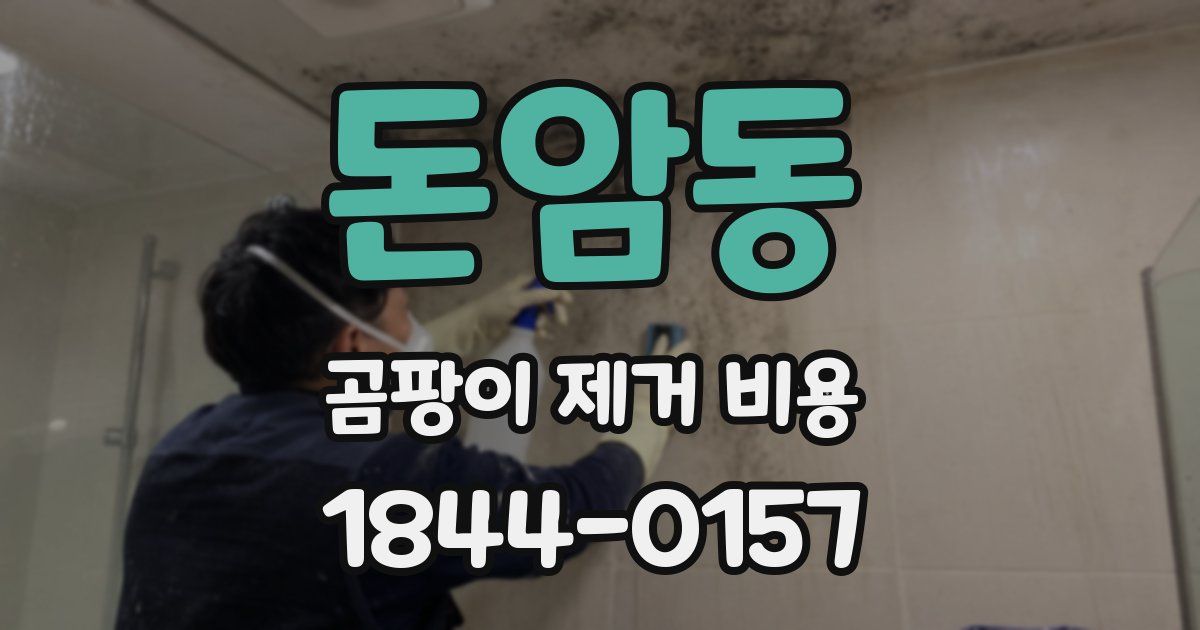 돈암동 곰팡이 제거 비용
