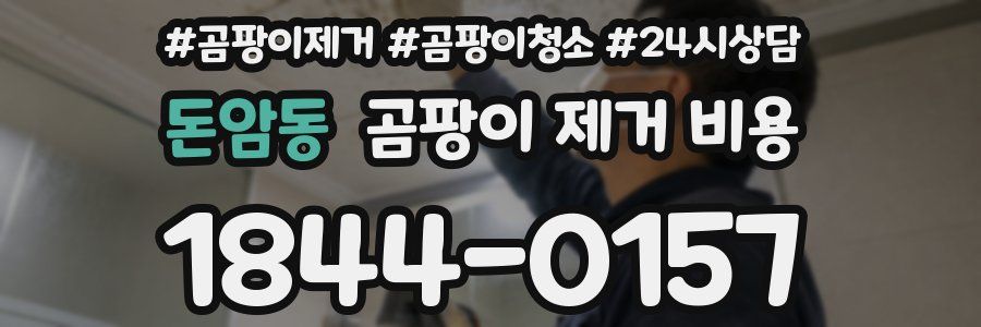 돈암동 곰팡이 제거 비용
