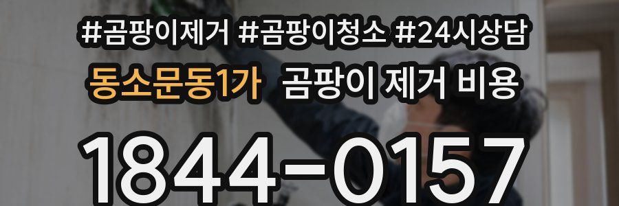 동소문동1가 곰팡이 제거 비용