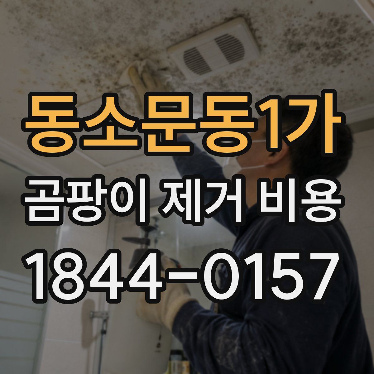 동소문동1가 곰팡이 제거 비용