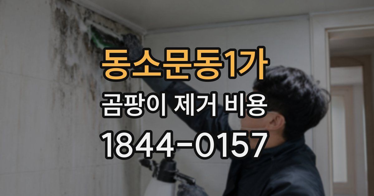 동소문동1가 곰팡이 제거 비용