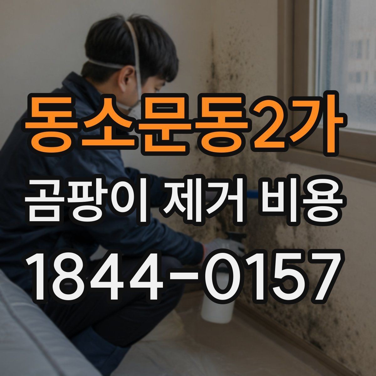 동소문동2가 곰팡이 제거 비용 천장 오염이 있으면 어떻게 달라질까