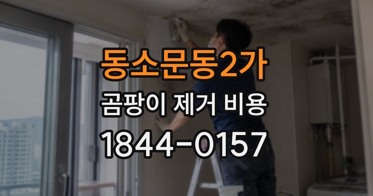 동소문동2가 곰팡이 제거 비용