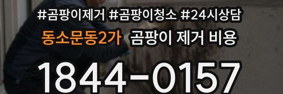 동소문동2가 곰팡이 제거 비용
