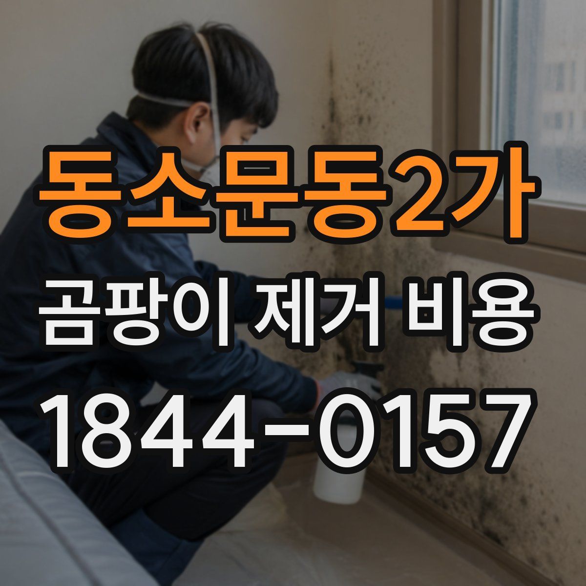 동소문동2가 곰팡이 제거 비용
