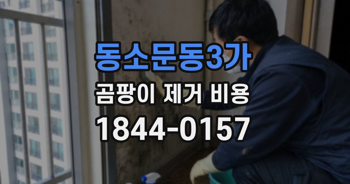 동소문동3가 곰팡이 제거 비용