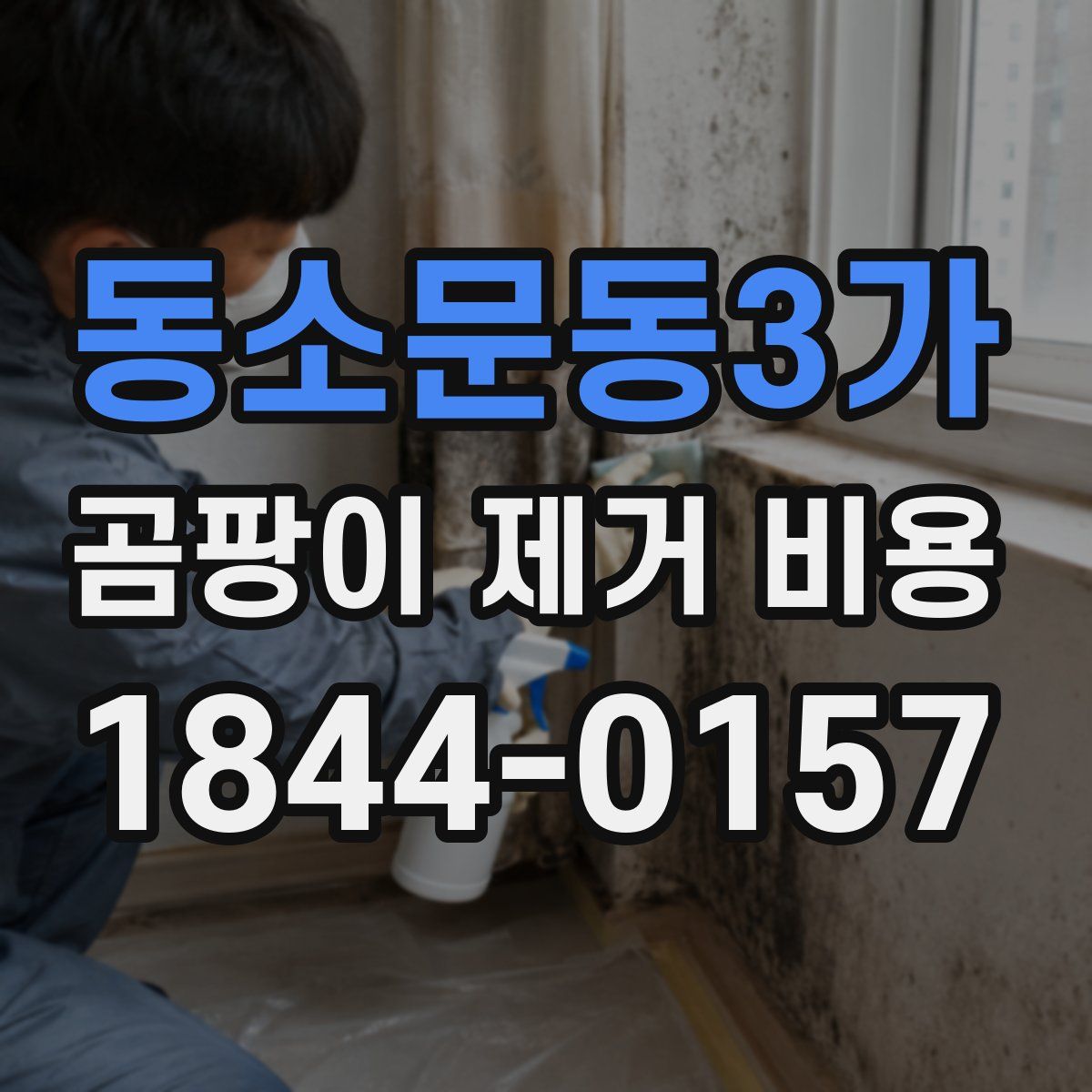 동소문동3가 곰팡이 제거 비용