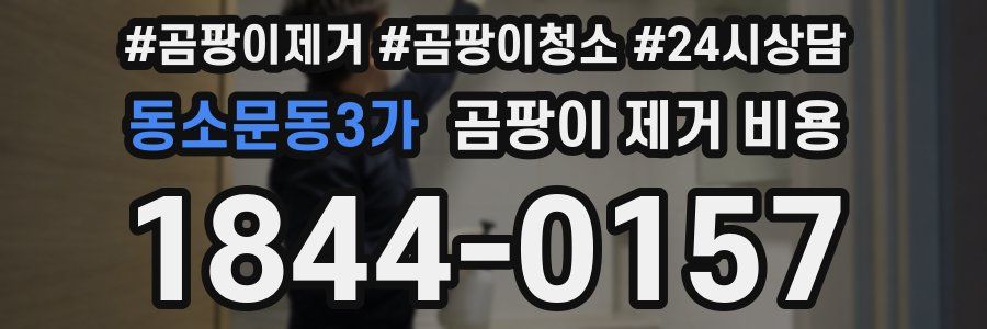 동소문동3가 곰팡이 제거 비용