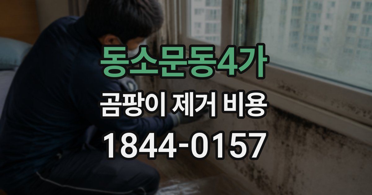 동소문동4가 곰팡이 제거 비용