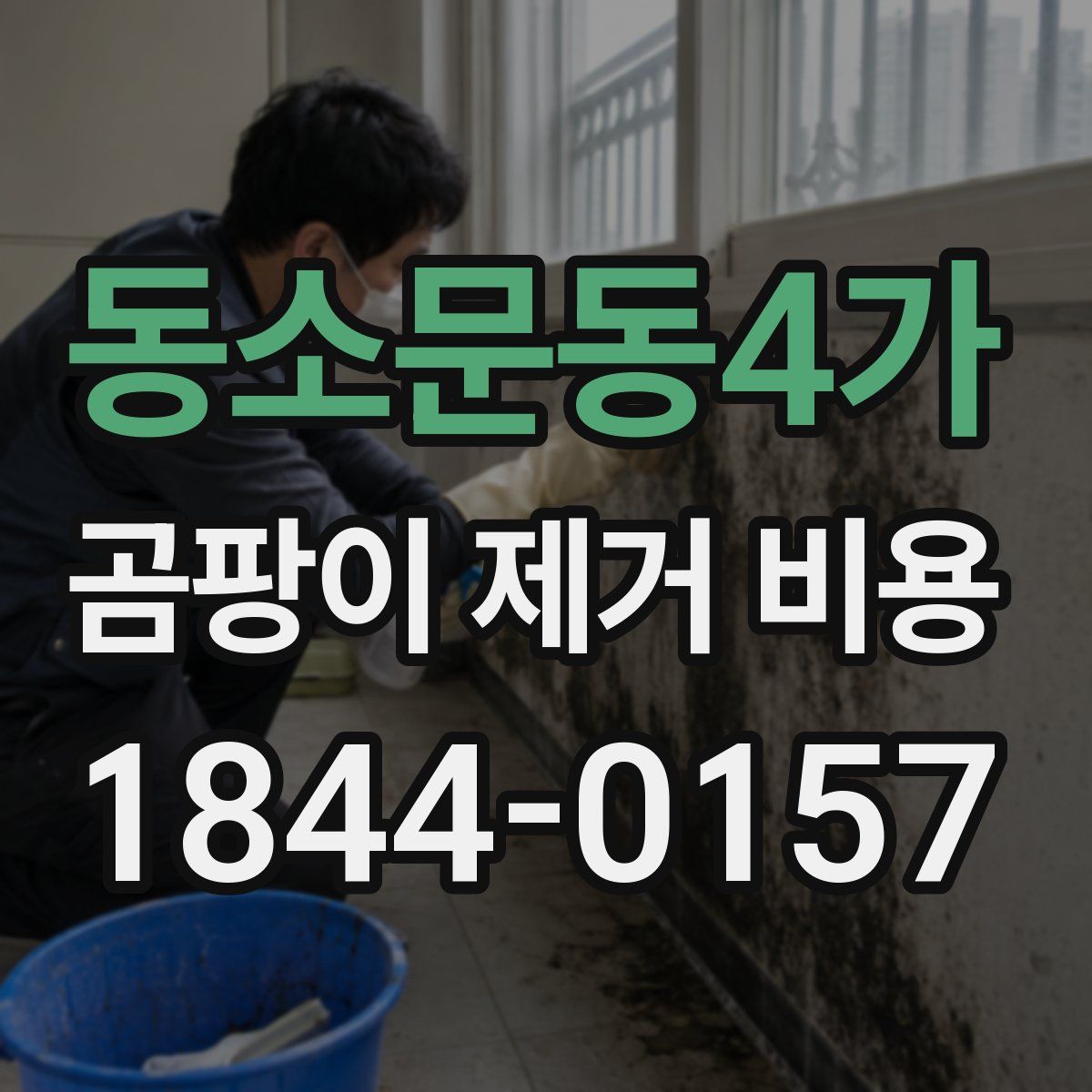 동소문동4가 곰팡이 제거 비용