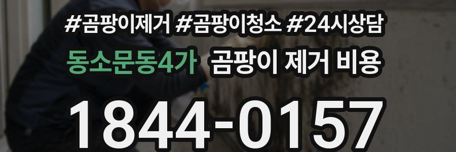 동소문동4가 곰팡이 제거 비용