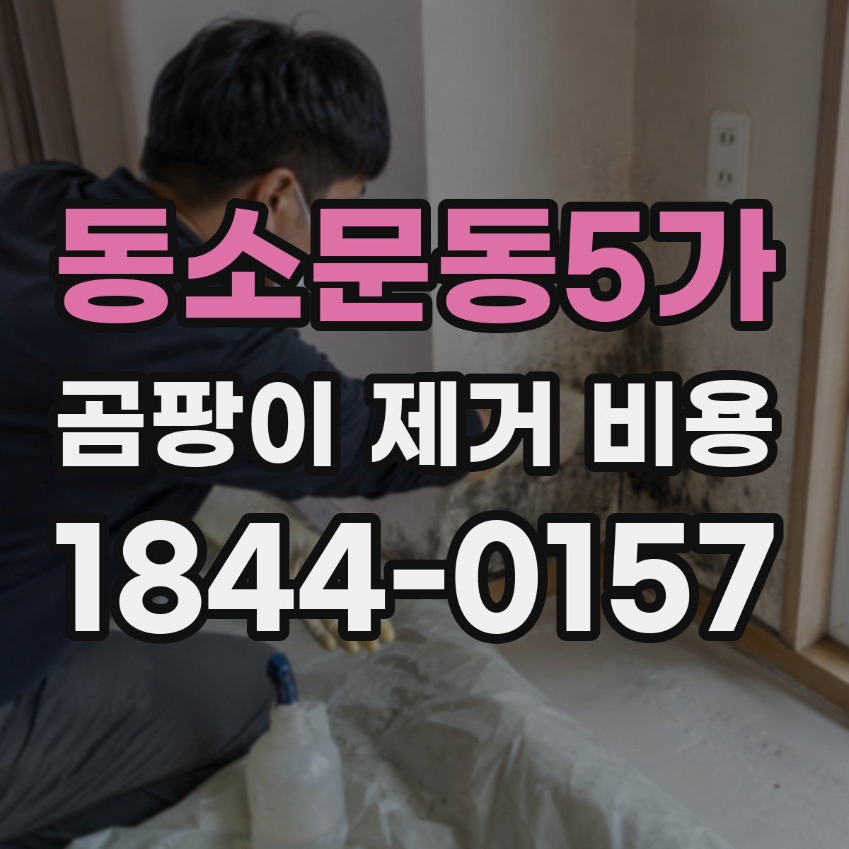 동소문동5가 곰팡이 제거 비용
