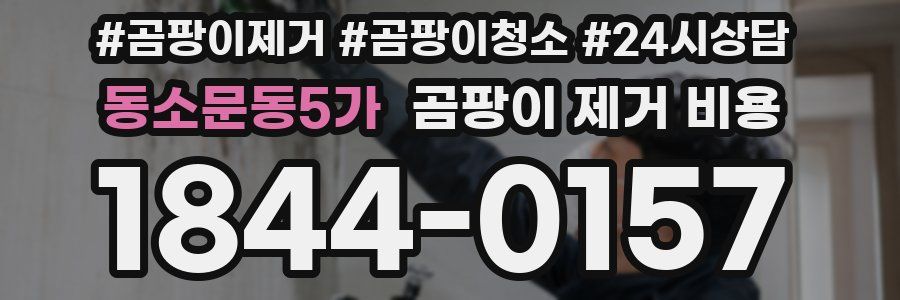 동소문동5가 곰팡이 제거 비용