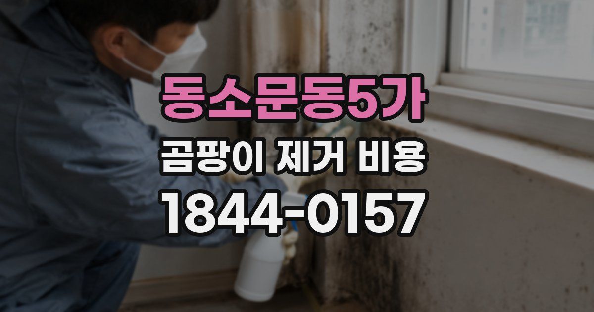 동소문동5가 곰팡이 제거 비용