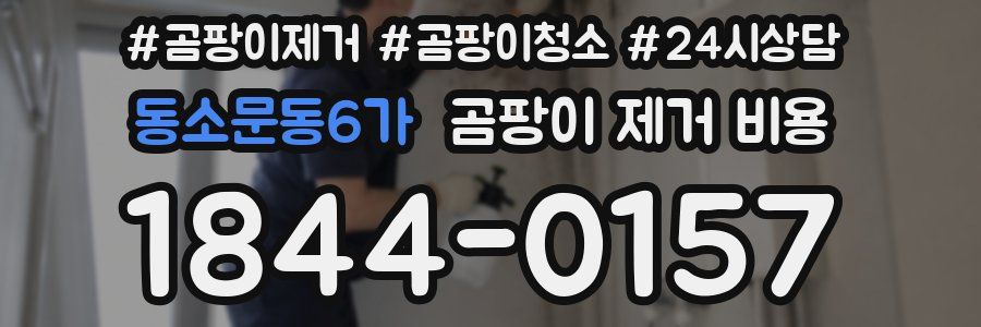 동소문동6가 곰팡이 제거 비용