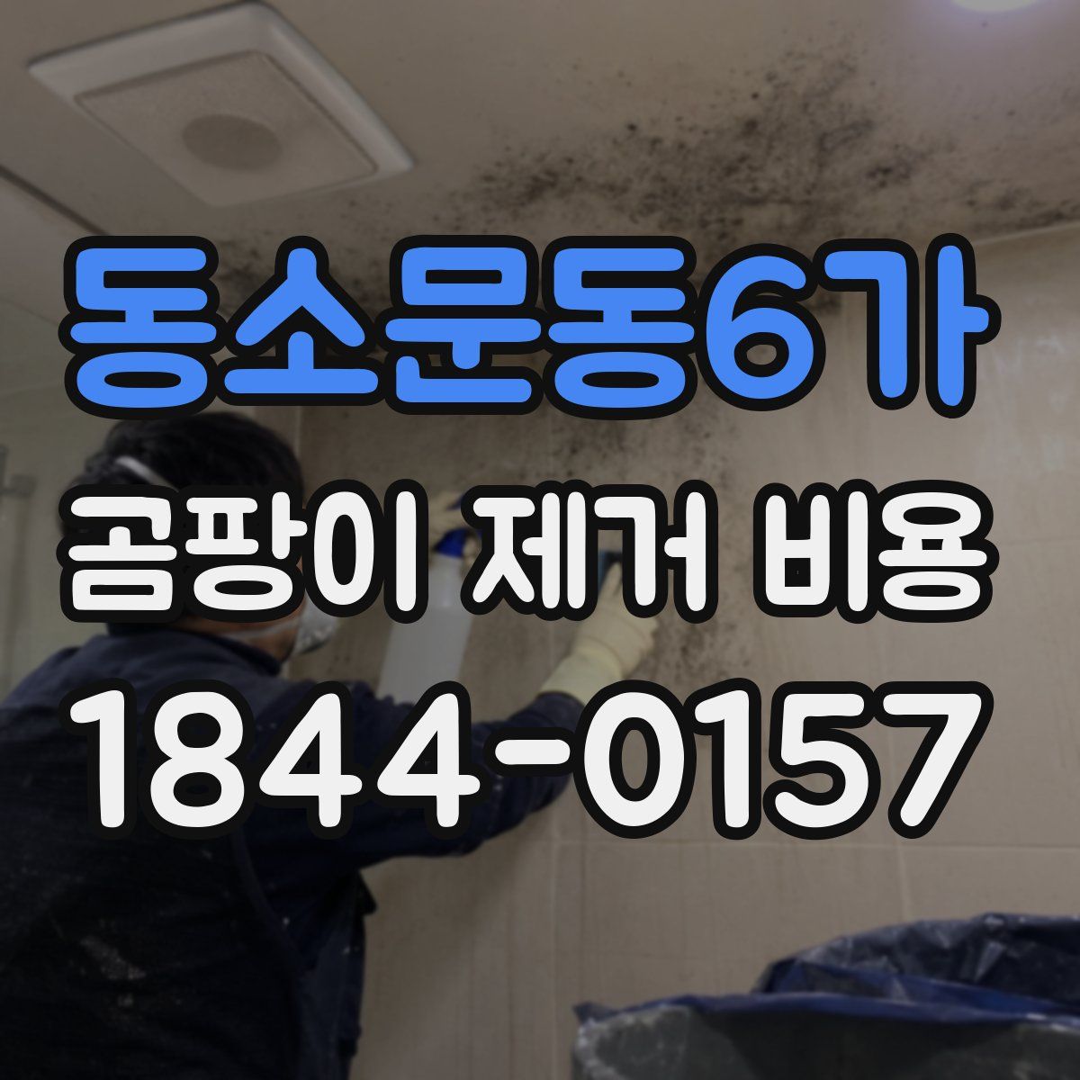 동소문동6가 곰팡이 제거 비용