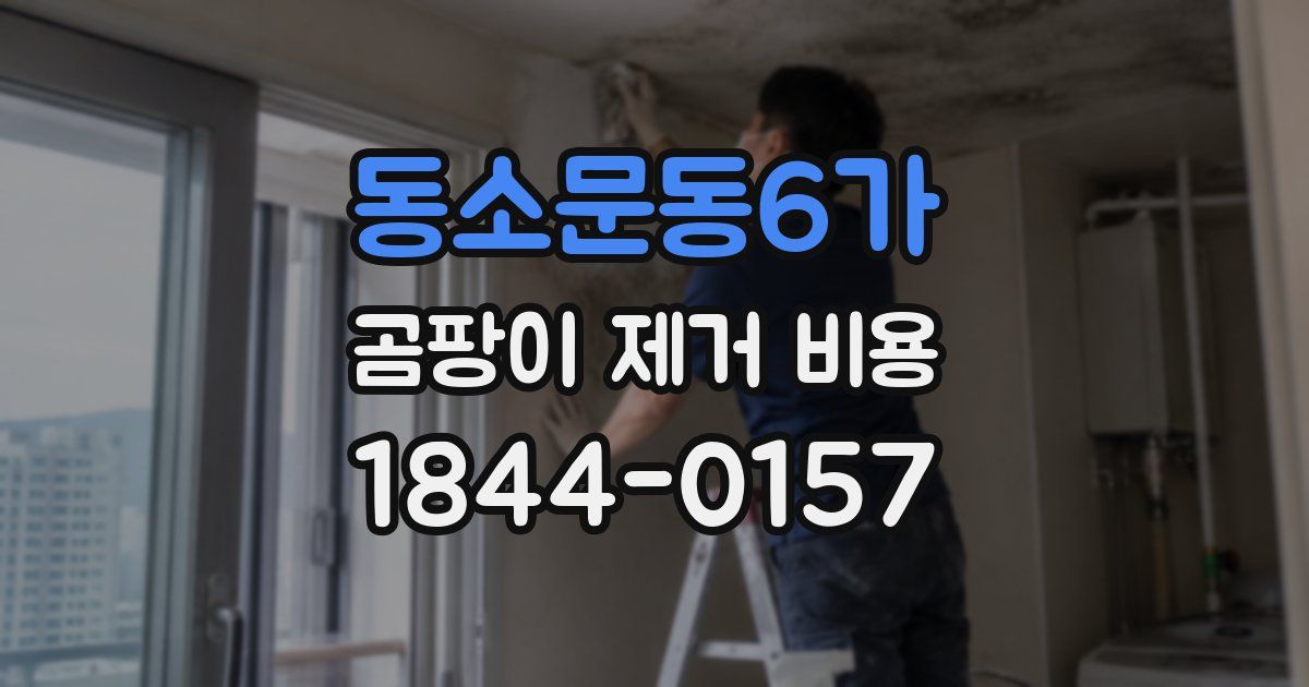 동소문동6가 곰팡이 제거 비용