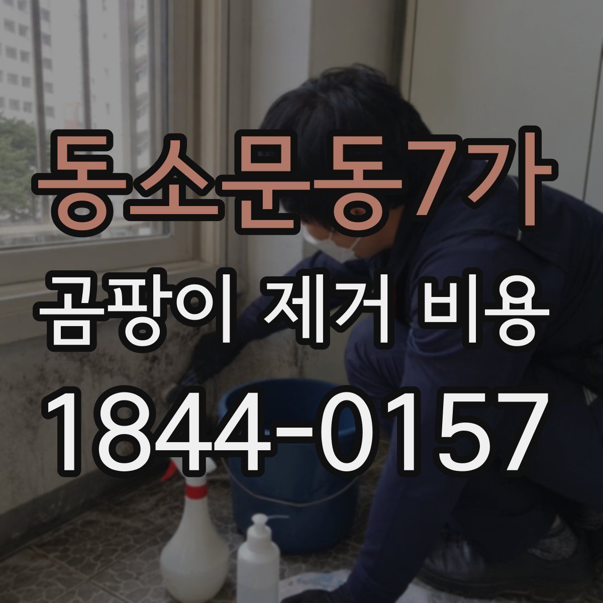 동소문동7가 곰팡이 제거 비용