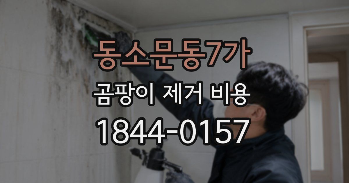 동소문동7가 곰팡이 제거 비용