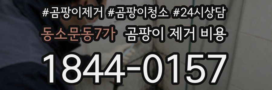 동소문동7가 곰팡이 제거 비용