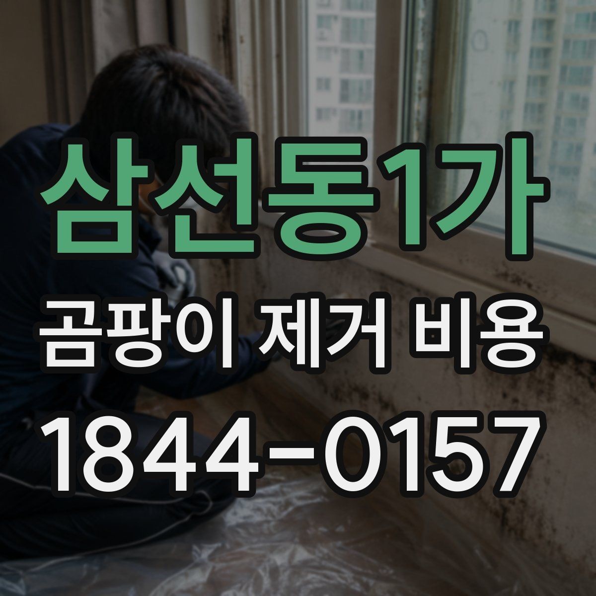 삼선동1가 곰팡이 제거 비용 철거 없이 진행하는 방식과 한계