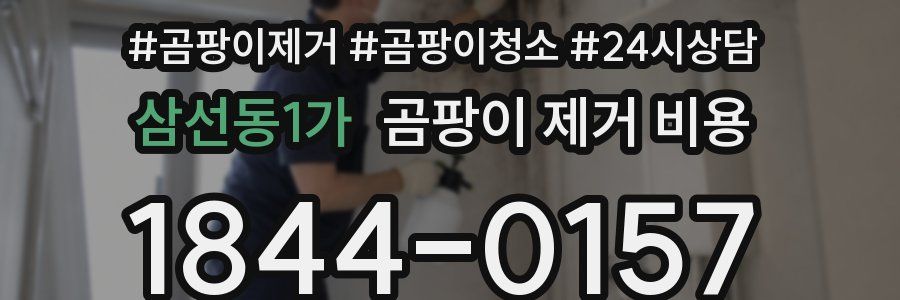 삼선동1가 곰팡이 제거 비용