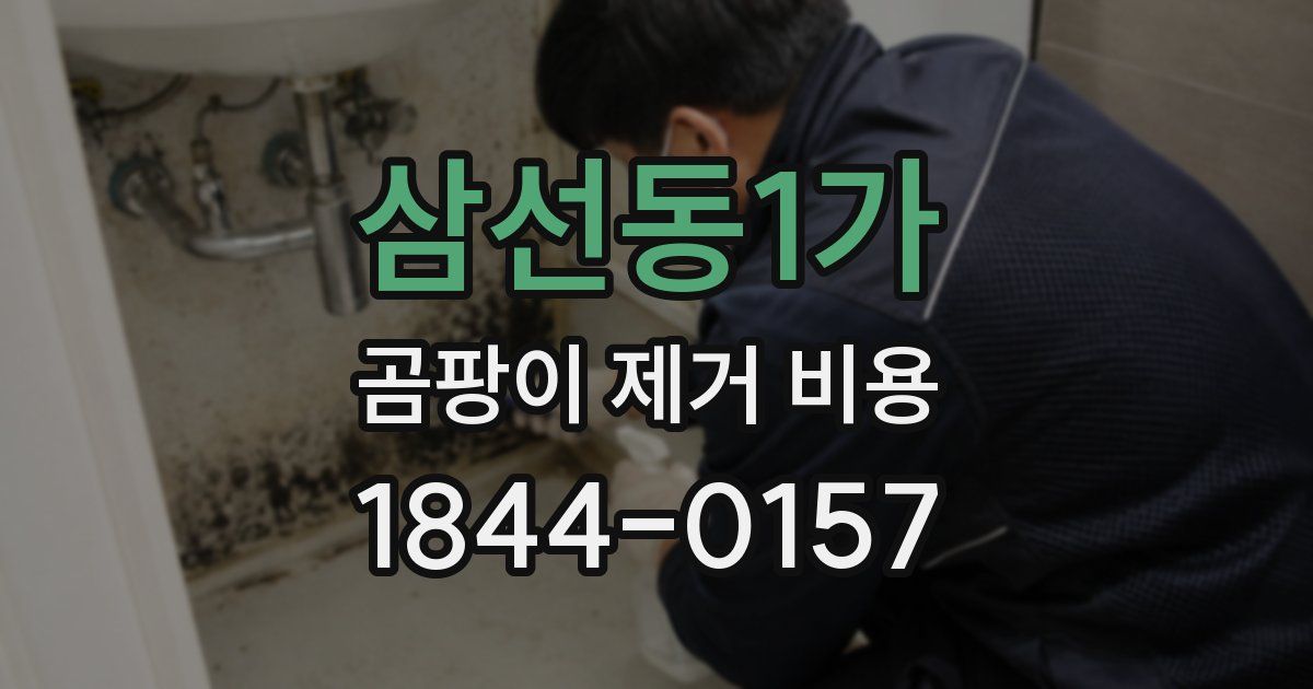 삼선동1가 곰팡이 제거 비용