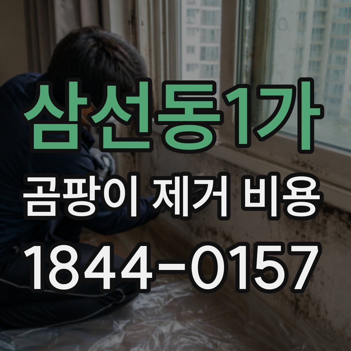 삼선동1가 곰팡이 제거 비용