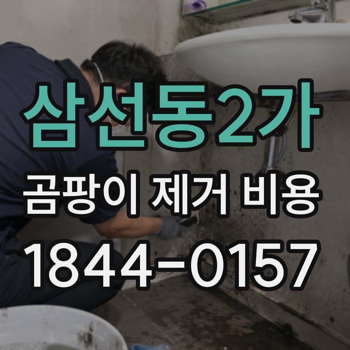 삼선동2가 곰팡이 제거 비용