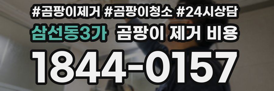 삼선동3가 곰팡이 제거 비용