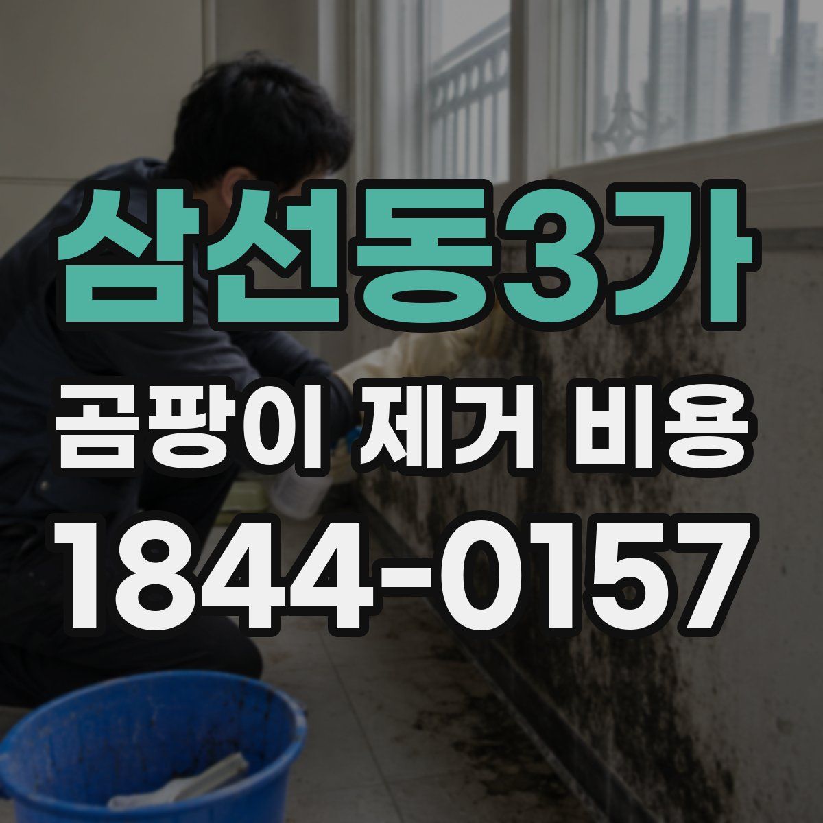 삼선동3가 곰팡이 제거 비용