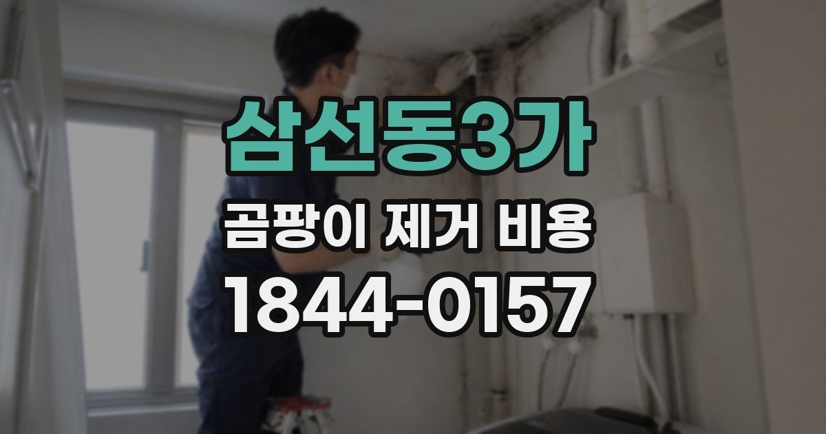 삼선동3가 곰팡이 제거 비용