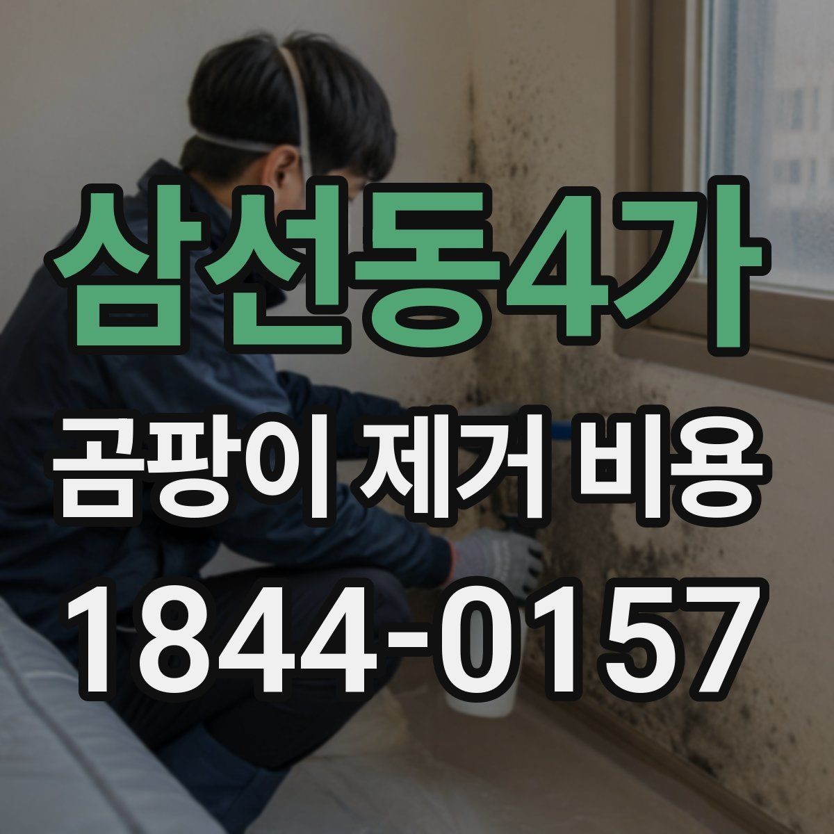 삼선동4가 곰팡이 제거 비용 단열 보수까지 포함되는 사례 살펴보기