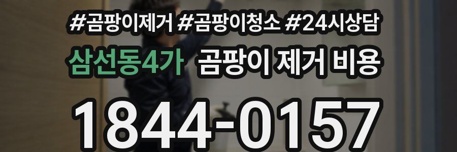 삼선동4가 곰팡이 제거 비용