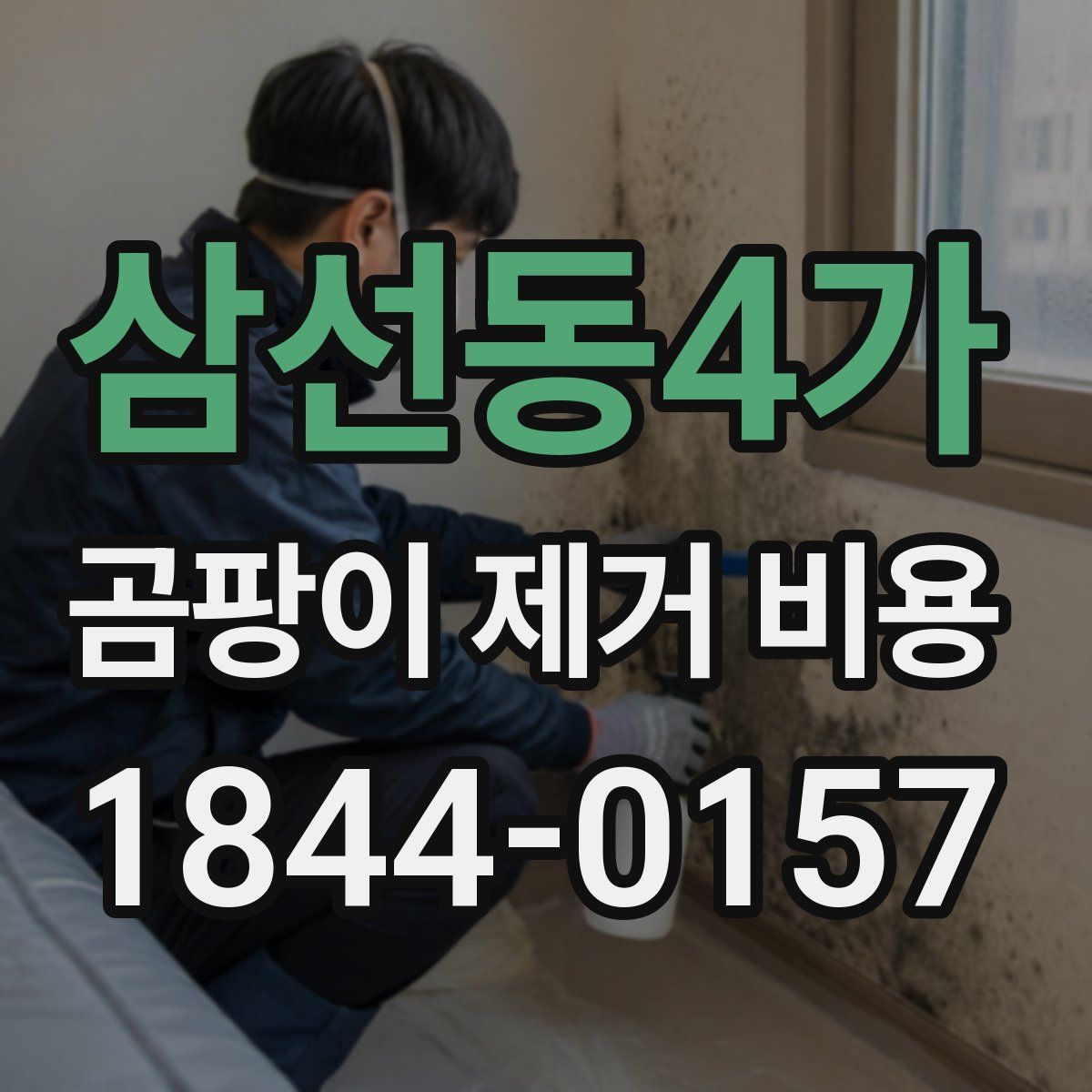 삼선동4가 곰팡이 제거 비용