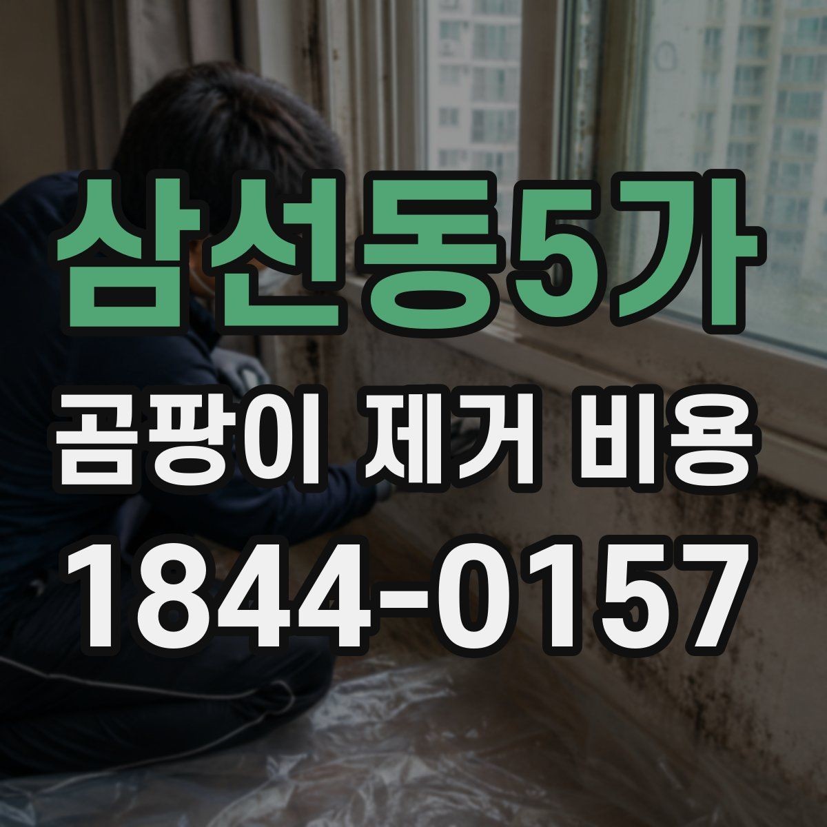 삼선동5가 곰팡이 제거 비용 부분 시공이 가능한 오염 유형 살펴보기