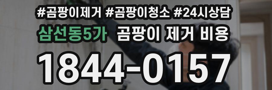 삼선동5가 곰팡이 제거 비용