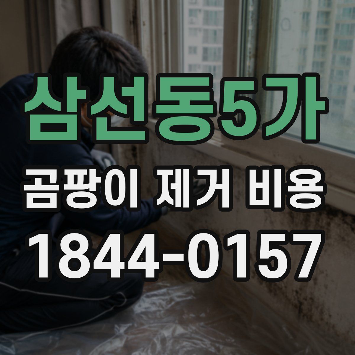 삼선동5가 곰팡이 제거 비용