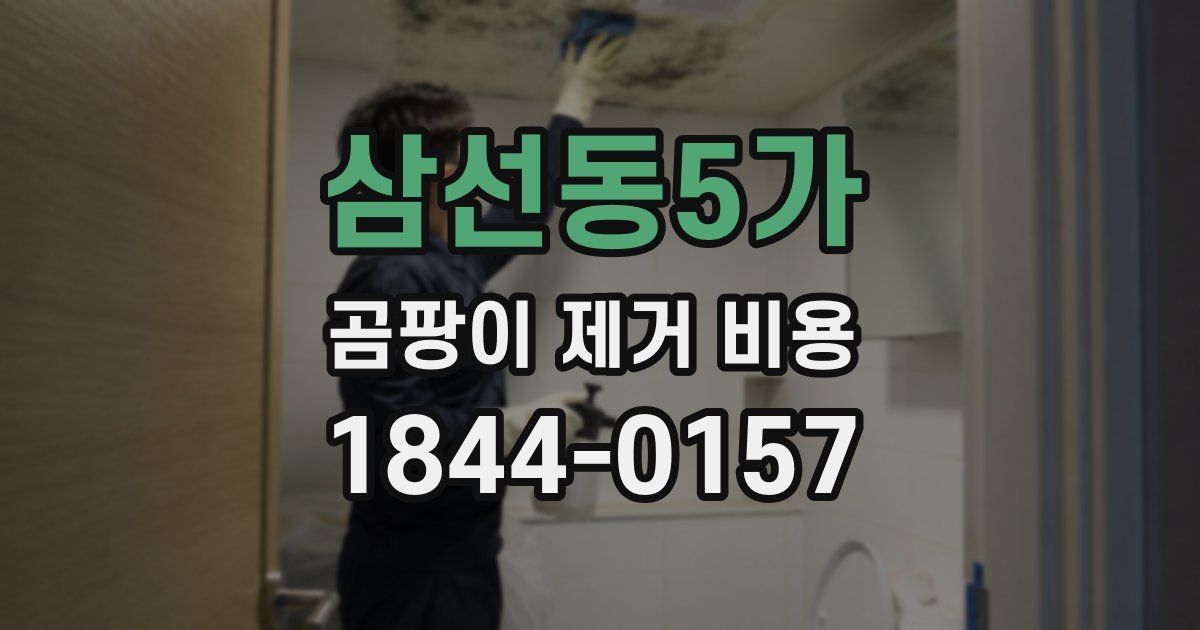 삼선동5가 곰팡이 제거 비용