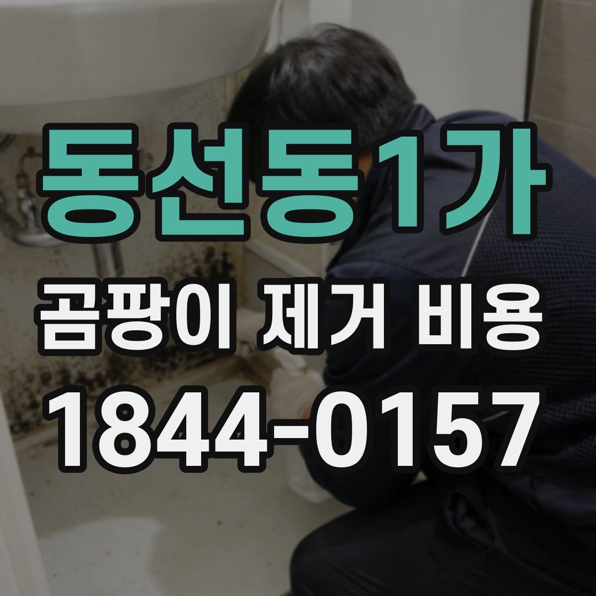 동선동1가 곰팡이 제거 비용