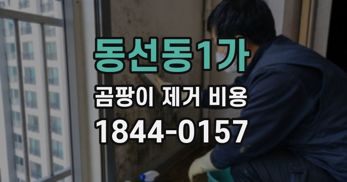 동선동1가 곰팡이 제거 비용