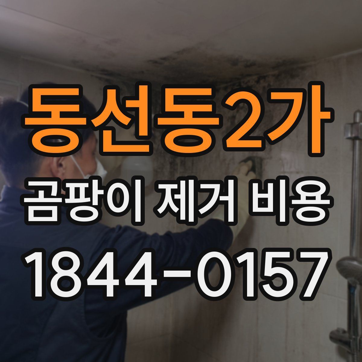 동선동2가 곰팡이 제거 비용
