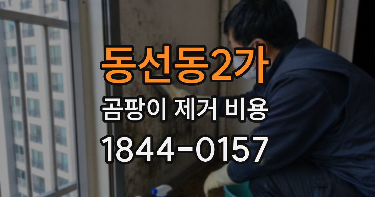 동선동2가 곰팡이 제거 비용