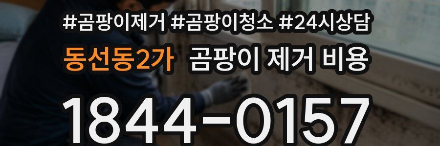 동선동2가 곰팡이 제거 비용