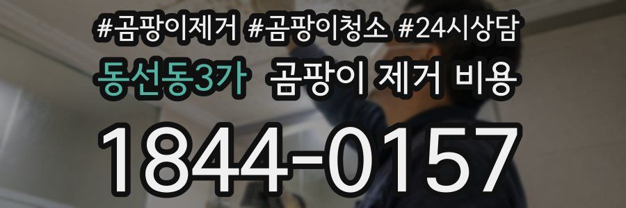 동선동3가 곰팡이 제거 비용